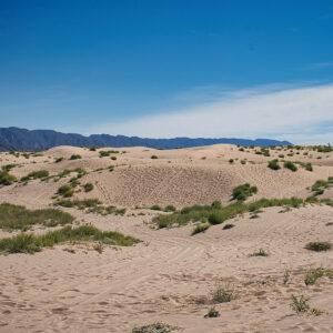 Desierto