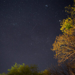 Fotografía Nocturna