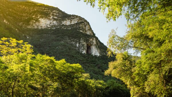 Cueva de los "murciélagos" V2