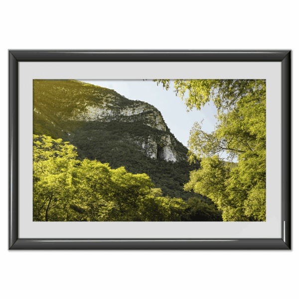 Cueva de los "murciélagos" V2