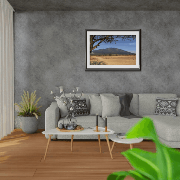 Cerro del "Potosí" V3