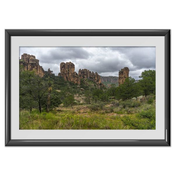 Sierra de Órganos V8