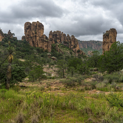 Sierra de Órganos V8