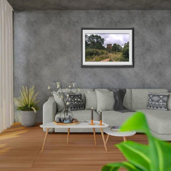 Sierra de Órganos V1