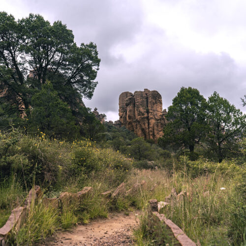 Sierra de Órganos V1