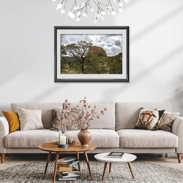 Sierra de Órganos V5