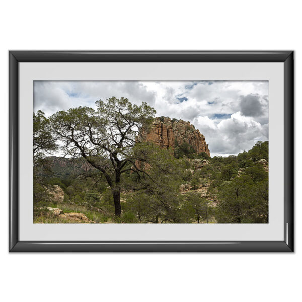 Sierra de Órganos V5