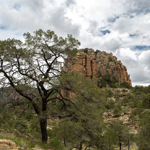 Sierra de Órganos V5