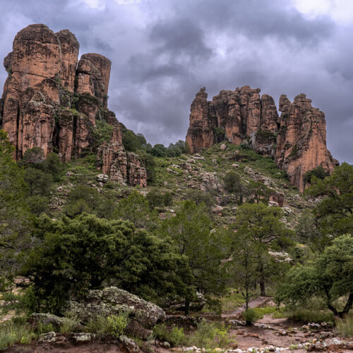 Sierra de Órganos V6