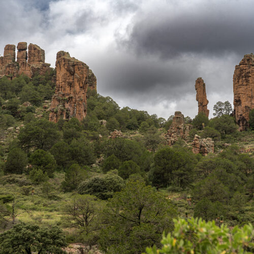Sierra de Órganos V7
