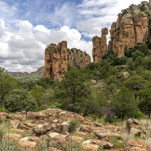Sierra de Órganos V9