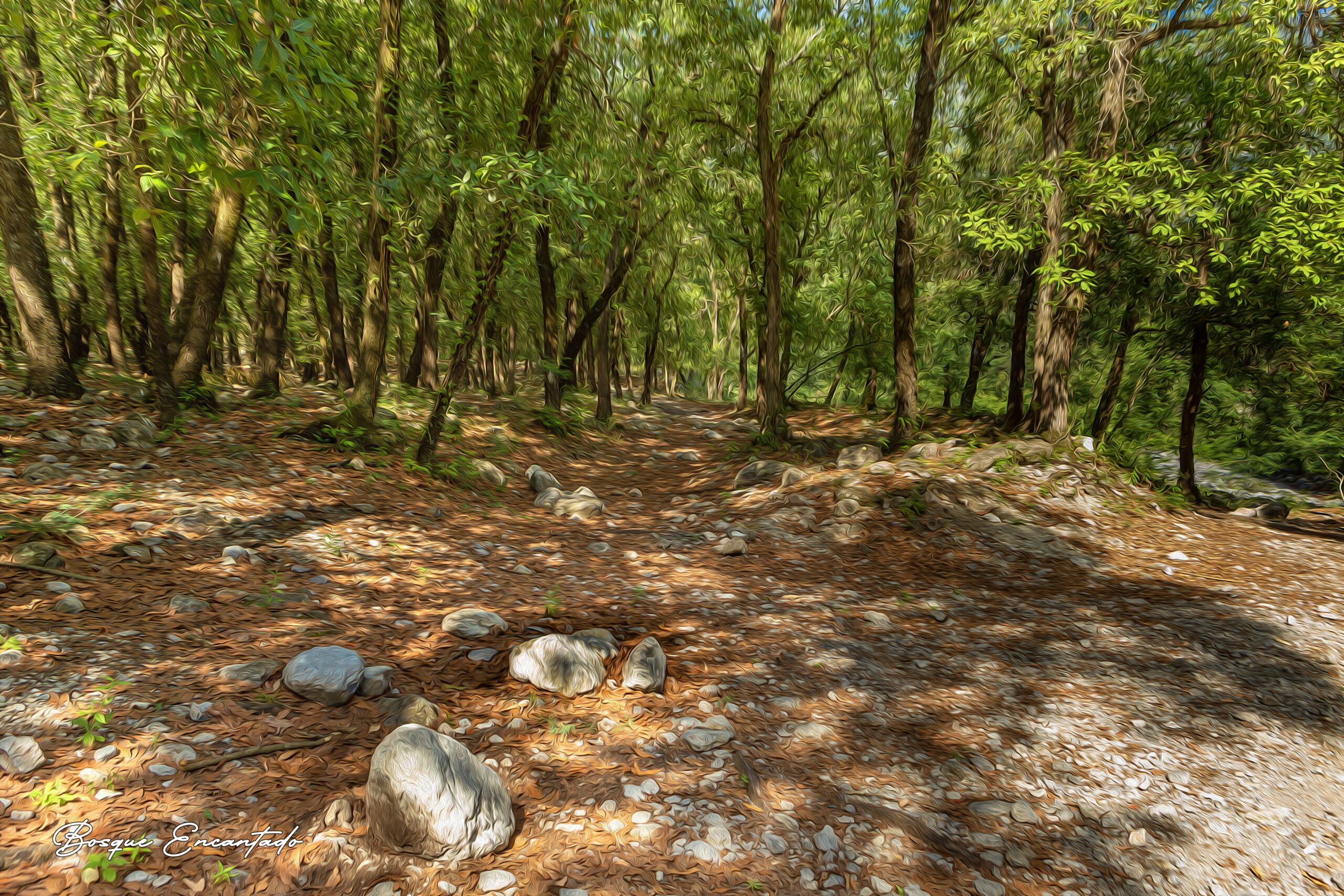 BEO1 Bosque Encantado Óleo V1
