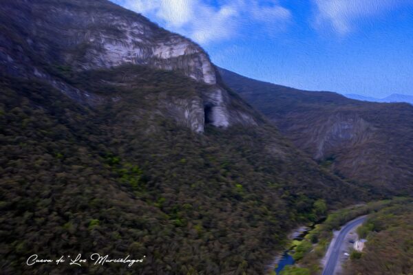 Cueva de los Murciélagos "Al Óleo"