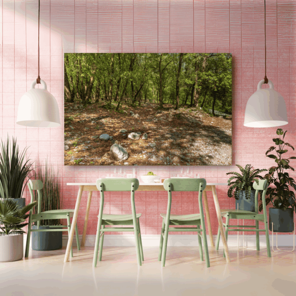 BE1 Bosque Encantado V1