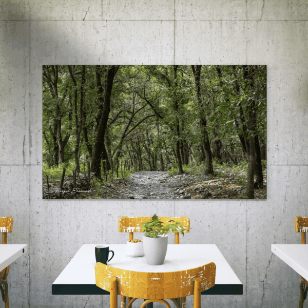 BE3 Bosque Encantado V3