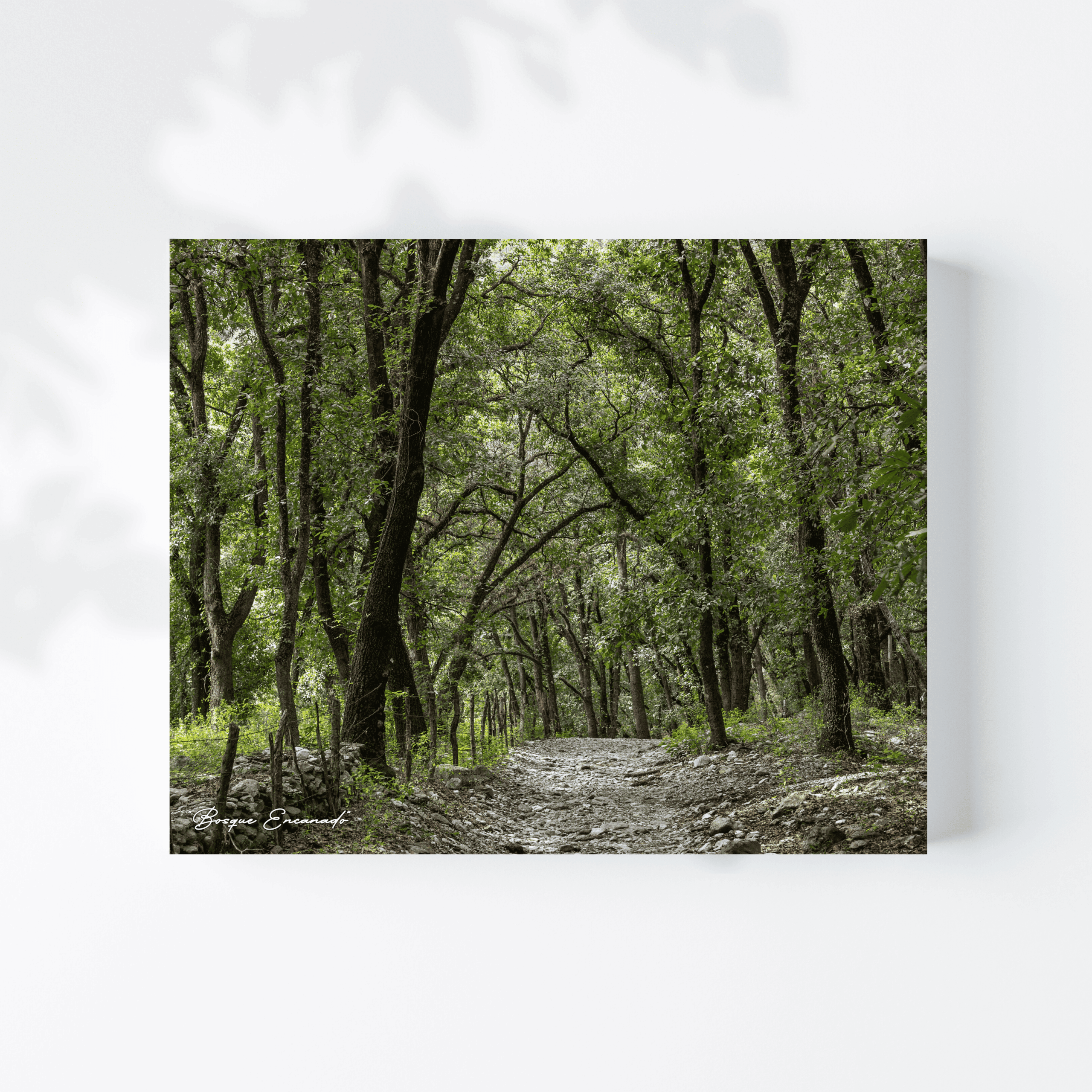 BE3 Bosque Encantado V3