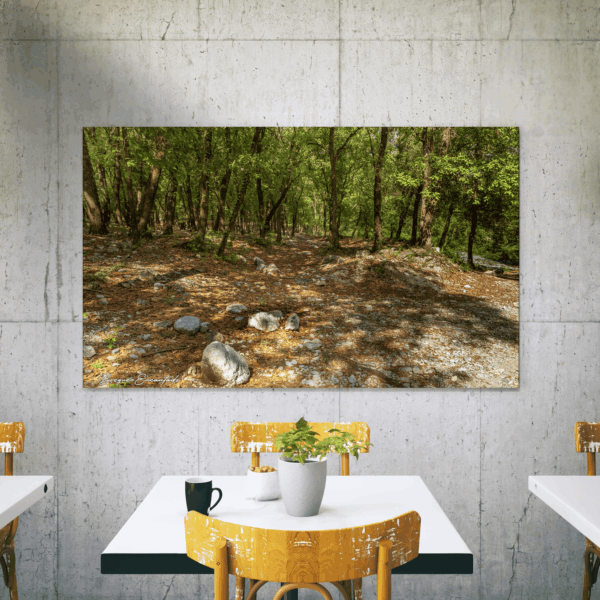 BE1 Bosque Encantado V1