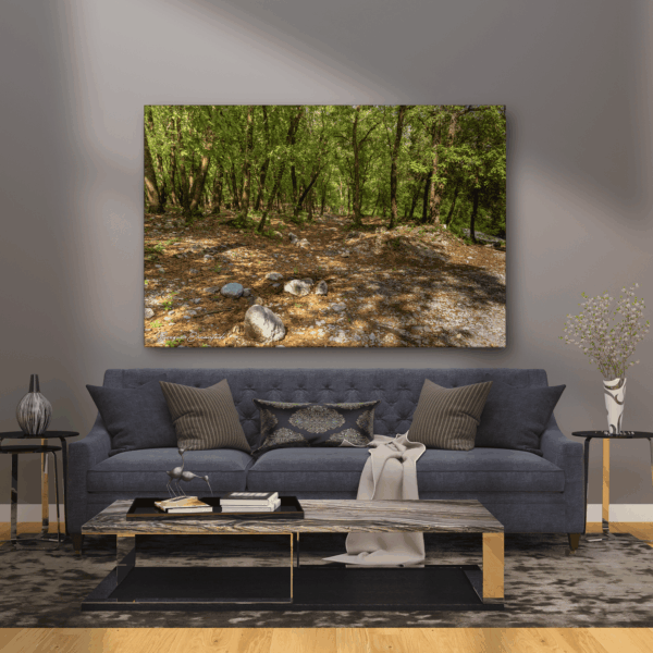 BE1 Bosque Encantado V1