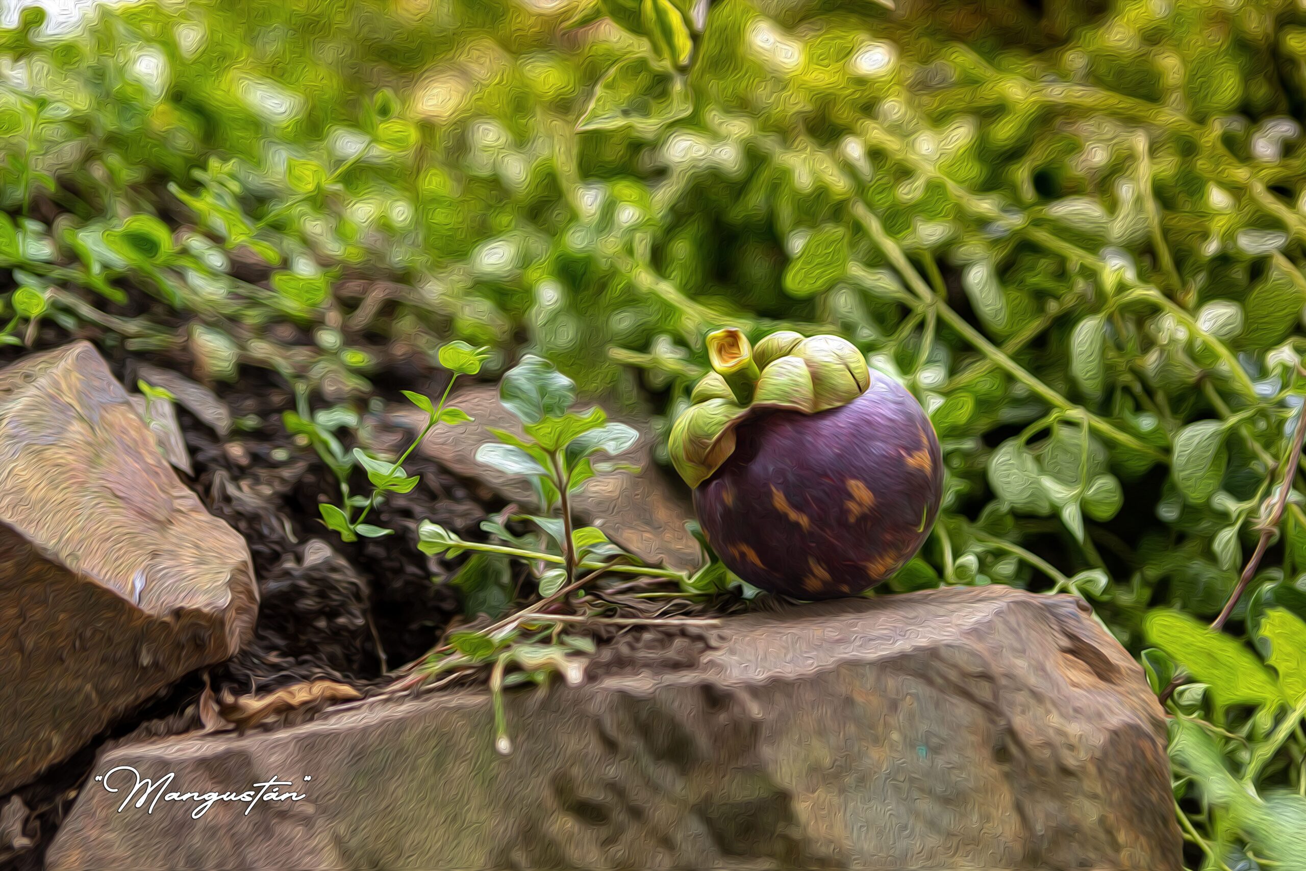 NA6 Naturaleza V6 Al Óleo