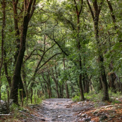 BEO3 Bosque Encantado Óleo V3