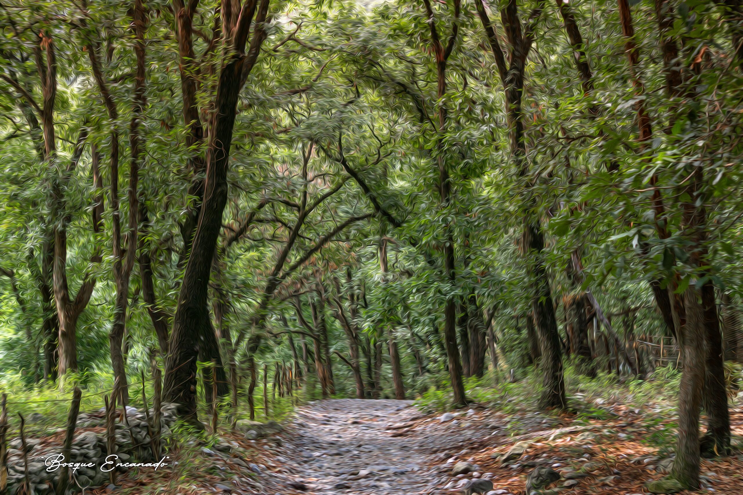 BEO3 Bosque Encantado Óleo V3